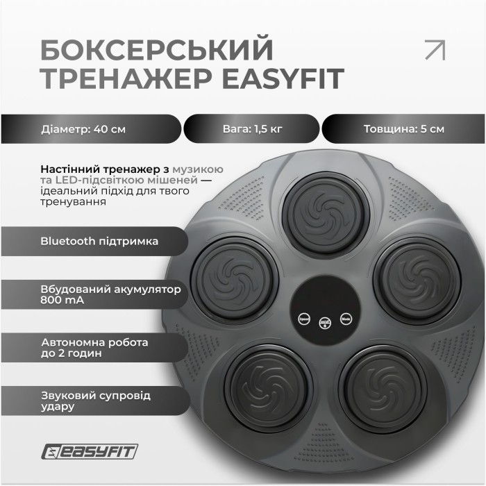 Боксерский тренажер EasyFit настенный музыкальный с подсветкой