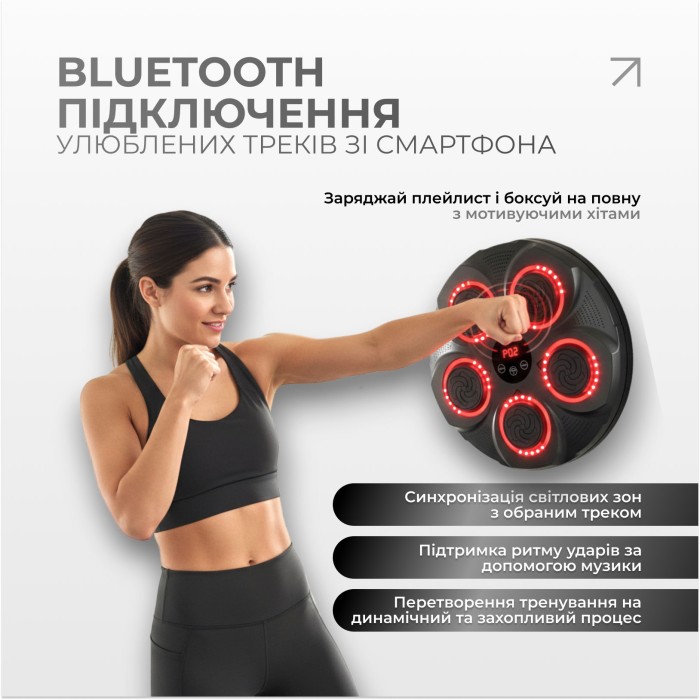 Боксерский тренажер EasyFit настенный музыкальный с подсветкой