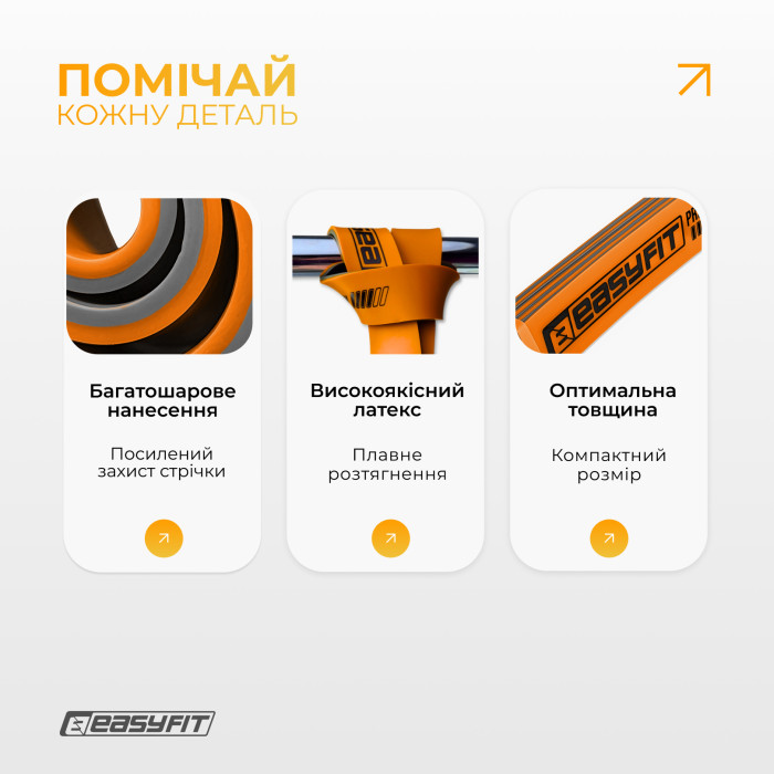 Двошарова резинка для підтягування EasyFit Premium 25-45 кг