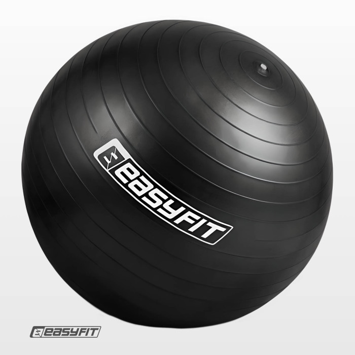 Мяч для фитнеса EasyFit BalanceBall 65 см черный