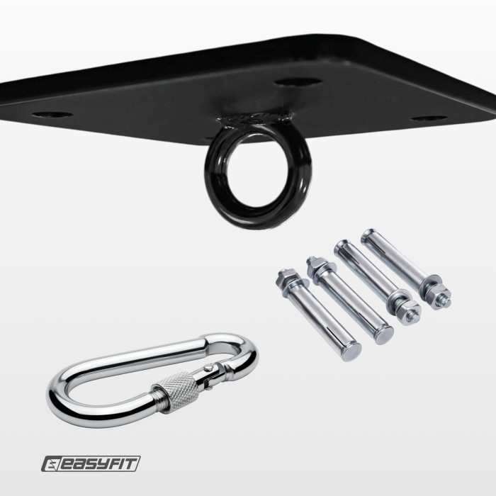 Крепление для боксерской груши EasyFit потолочное