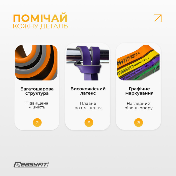 Набір двошарових резинок для підтягування EasyFit Premium 2-45 кг (4 шт)