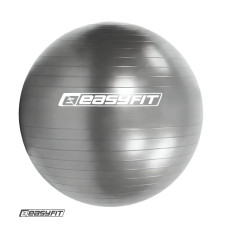 М'яч для фітнеса EasyFit 65 см сірий