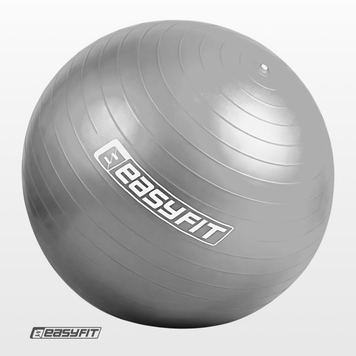 М'яч для фітнеса EasyFit 65 см сірий