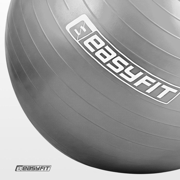 М'яч для фітнеса EasyFit 65 см сірий