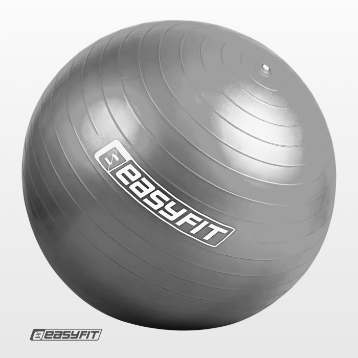 М'яч для фітнеса EasyFit 75 см сірий