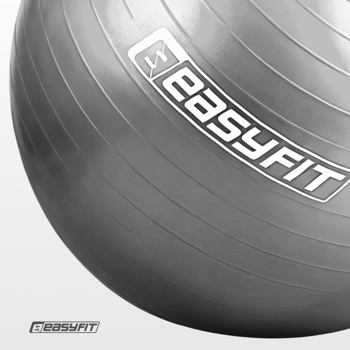 М'яч для фітнеса EasyFit 75 см сірий