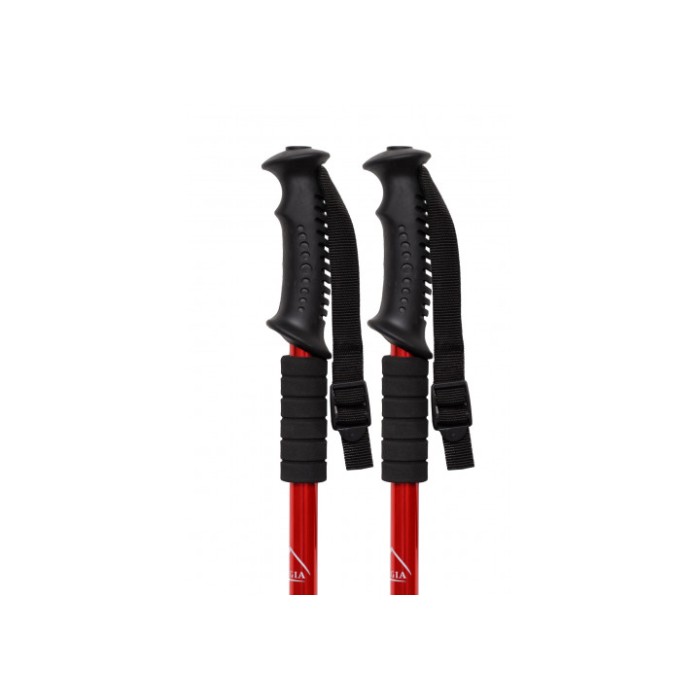 Палка для скандинавской ходьбы EasyFit Energia красная