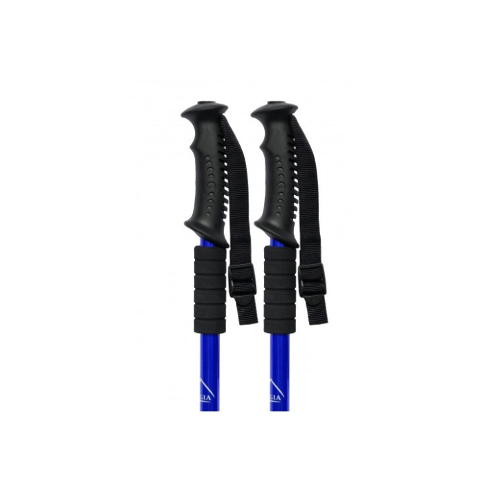 Палка для скандинавской ходьбы EasyFit Energia синяя