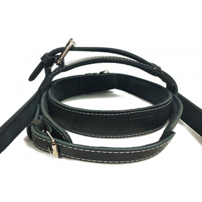 Упряжь EasyFit BISON черная (кожа)