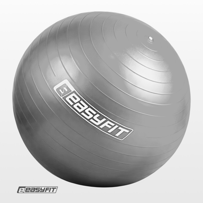 М'яч для фітнеса EasyFit 55 см сірий