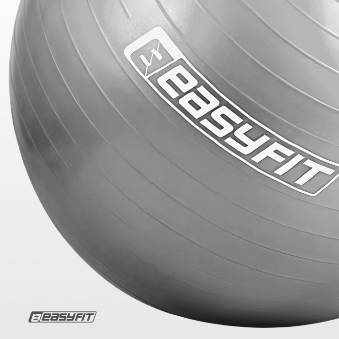 М'яч для фітнеса EasyFit 55 см сірий