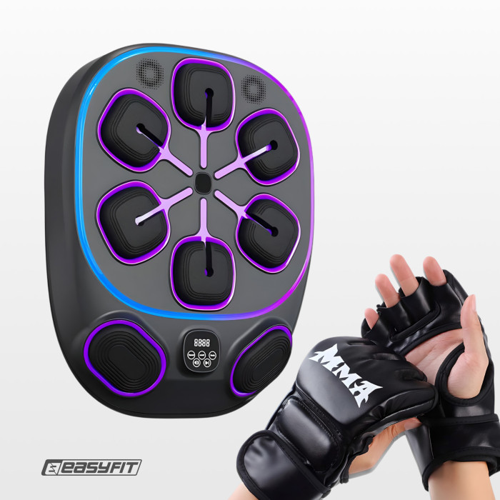 Настенный боксерский тренажер EasyFit с апперкотами (музыкальный бокс)