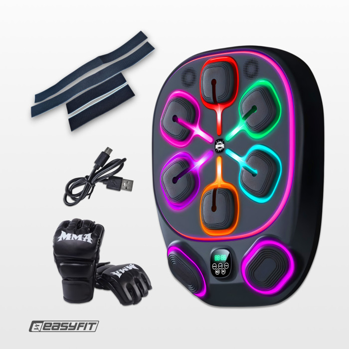 Настенный боксерский тренажер EasyFit с апперкотами (музыкальный бокс)