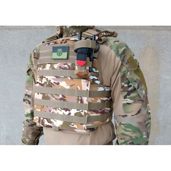 Плитоноска Pantsyr-2 (тактичний військовий жилет, бронежилет MOLLE) Multicam Arid