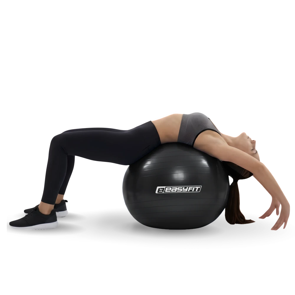 EF-3009-BK-PRIMENENIE-1
