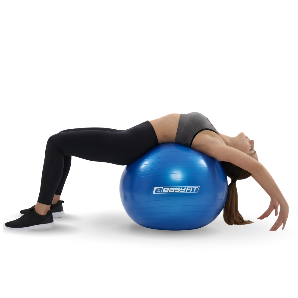 EF-3009-BL-PRIMENENIE-1