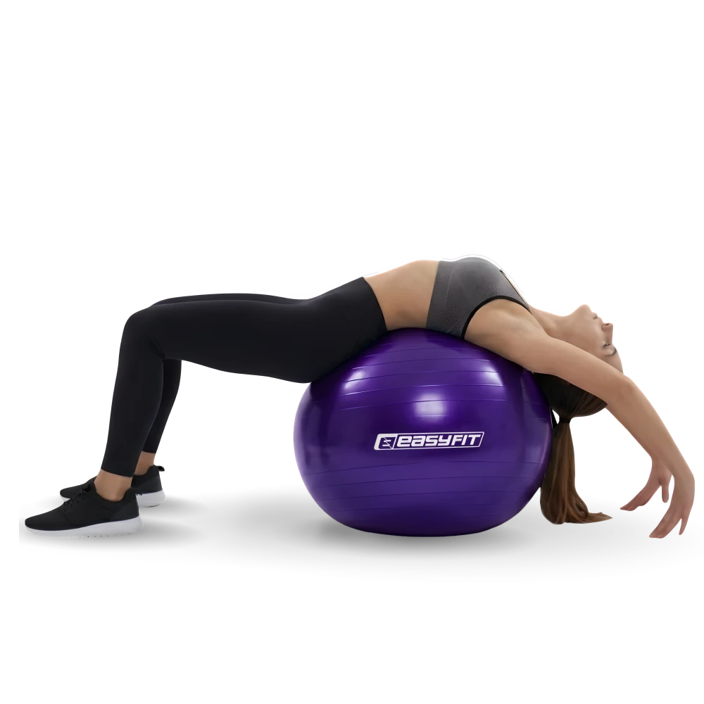 EF-3009-V-PRIMENENIE-1